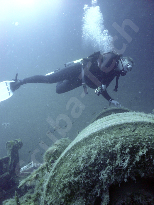 Diver admires the size of the Zenobia lorry wheels